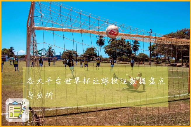 各大平台世界杯让球投注数据盘点与分析