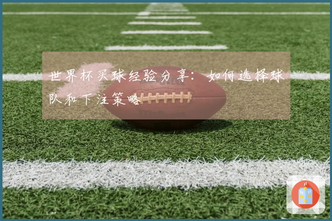 世界杯买球经验分享：如何选择球队和下注策略