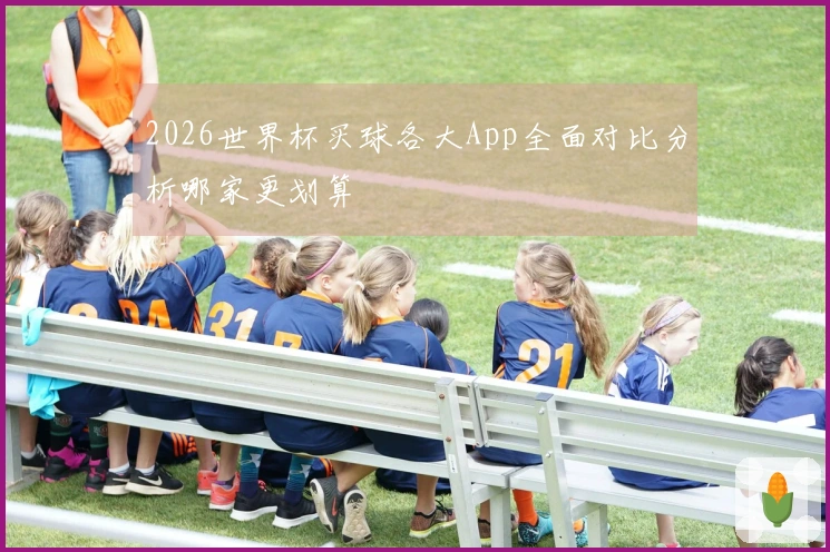 2026世界杯买球各大App全面对比分析哪家更划算