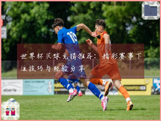 世界杯买球竞猜推荐：精彩赛事下注技巧与经验分享