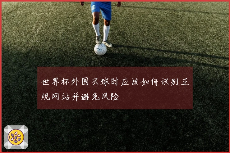 世界杯外围买球时应该如何识别正规网站并避免风险