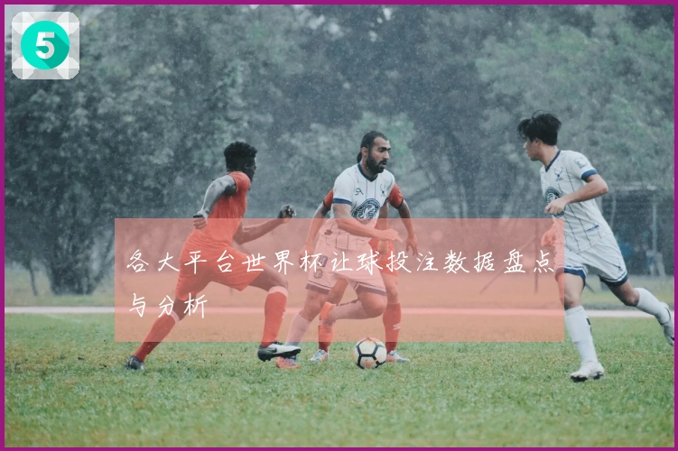 各大平台世界杯让球投注数据盘点与分析