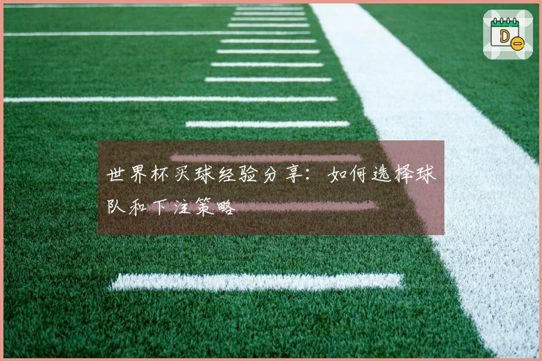 世界杯买球经验分享：如何选择球队和下注策略