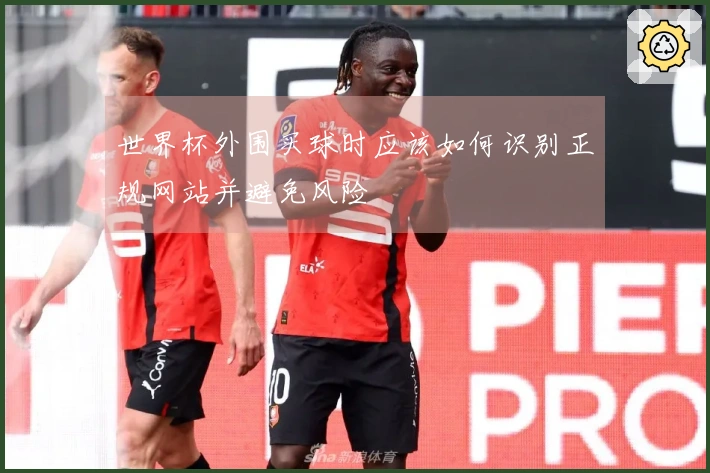 世界杯外围买球时应该如何识别正规网站并避免风险