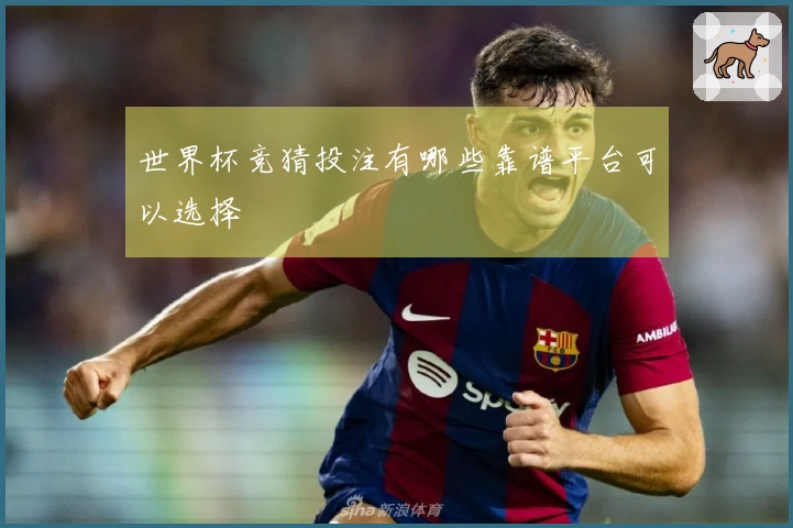 世界杯竞猜投注有哪些靠谱平台可以选择