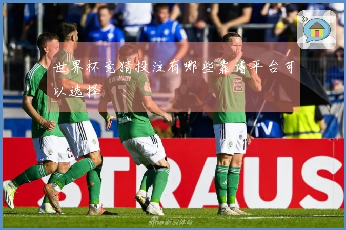 世界杯竞猜投注有哪些靠谱平台可以选择