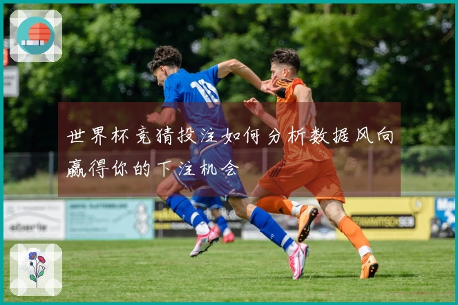 世界杯竞猜投注如何分析数据风向赢得你的下注机会