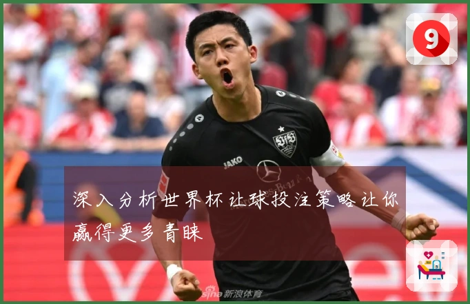 深入分析世界杯让球投注策略让你赢得更多青睐
