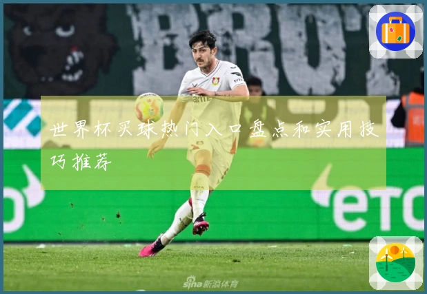 世界杯买球热门入口盘点和实用技巧推荐