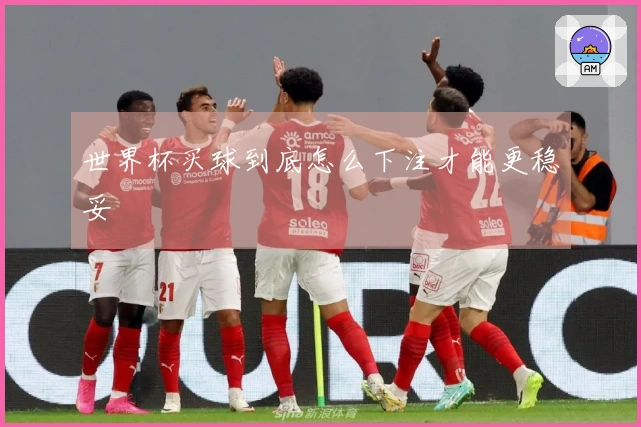 世界杯买球到底怎么下注才能更稳妥