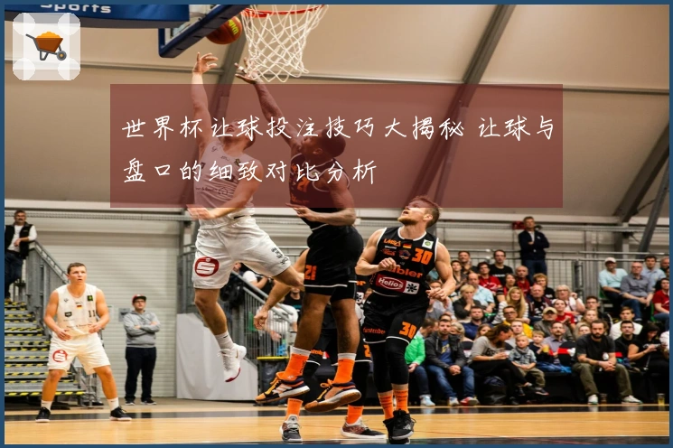 世界杯让球投注技巧大揭秘 让球与盘口的细致对比分析